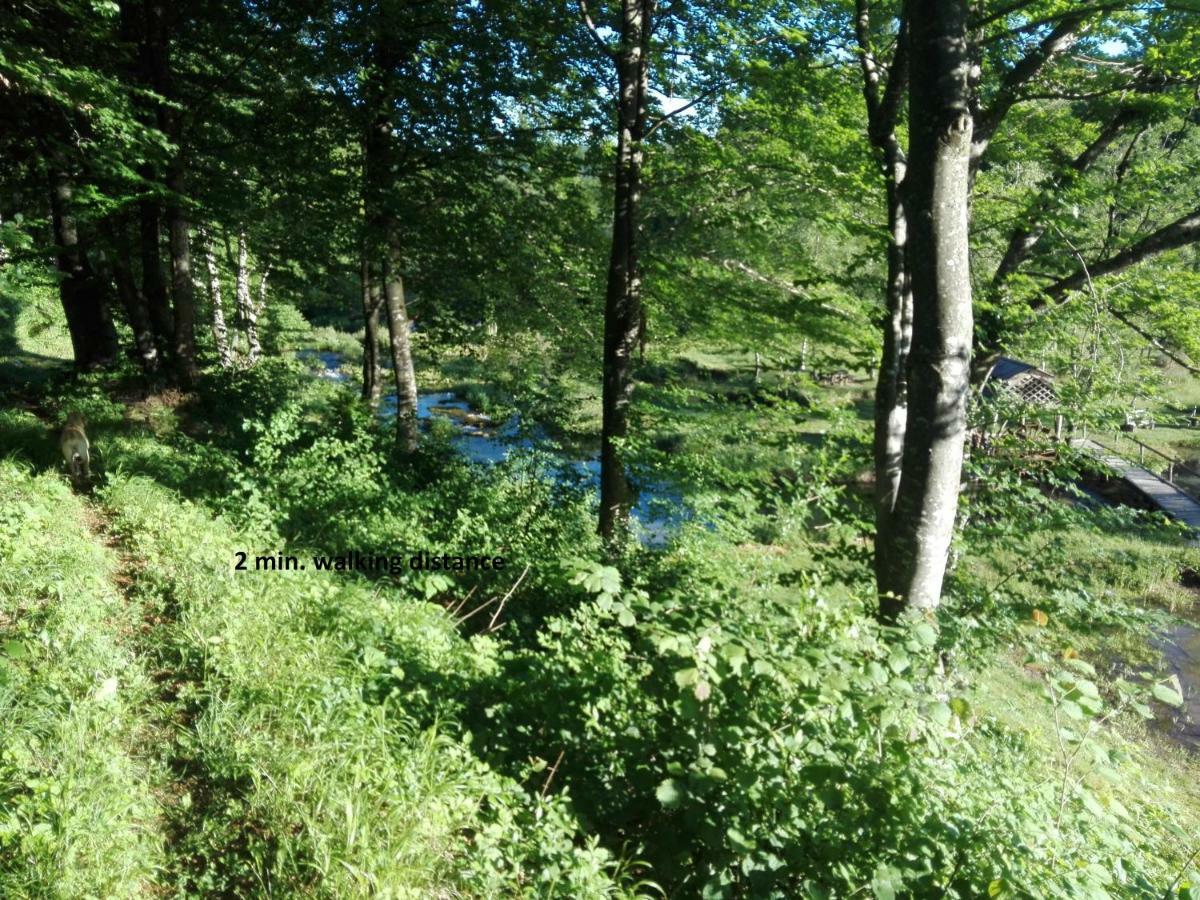 House By The River Plitvica selo Exterior foto