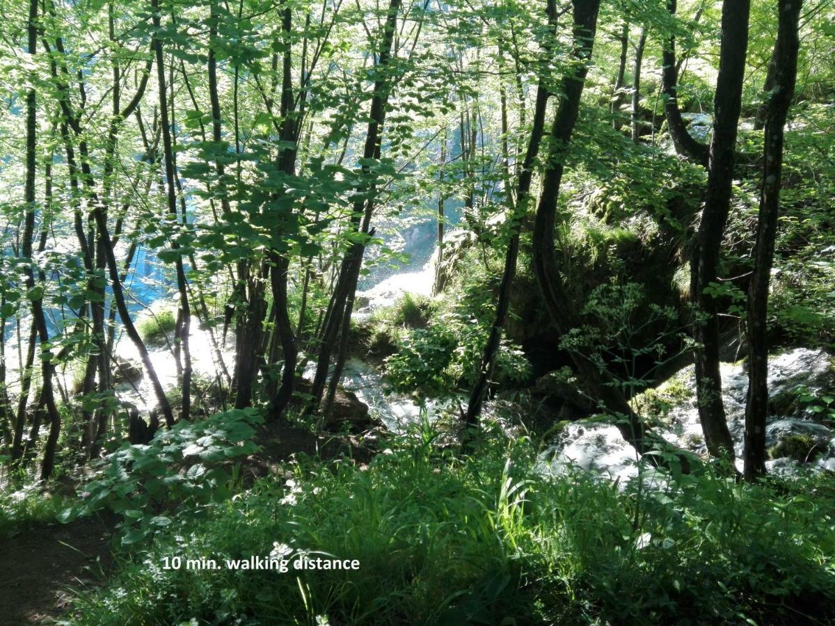 House By The River Plitvica selo Exterior foto